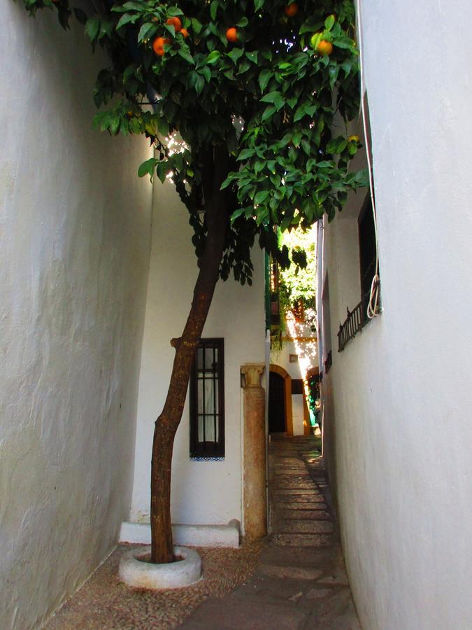 Cordoba Con Encanto Lubi I Eksteriør billede